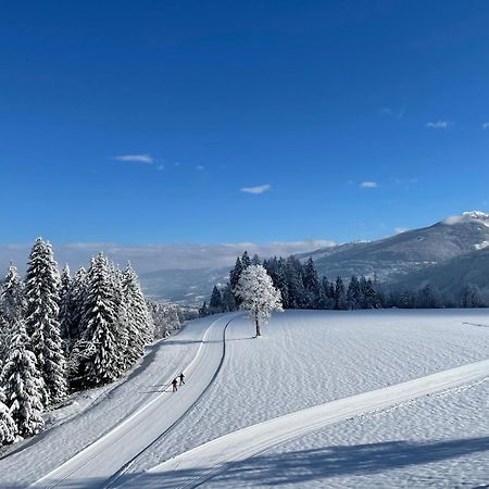 Burglehnerhof Apart otel Ramsau am Dachstein Dış mekan fotoğraf