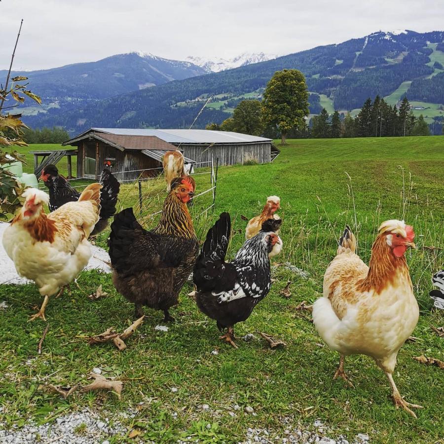 Burglehnerhof Apart otel Ramsau am Dachstein Dış mekan fotoğraf