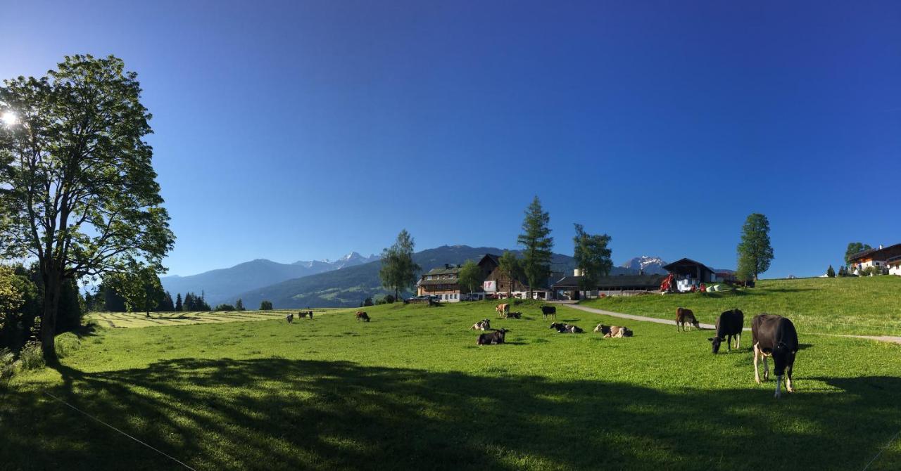 Burglehnerhof Apart otel Ramsau am Dachstein Dış mekan fotoğraf