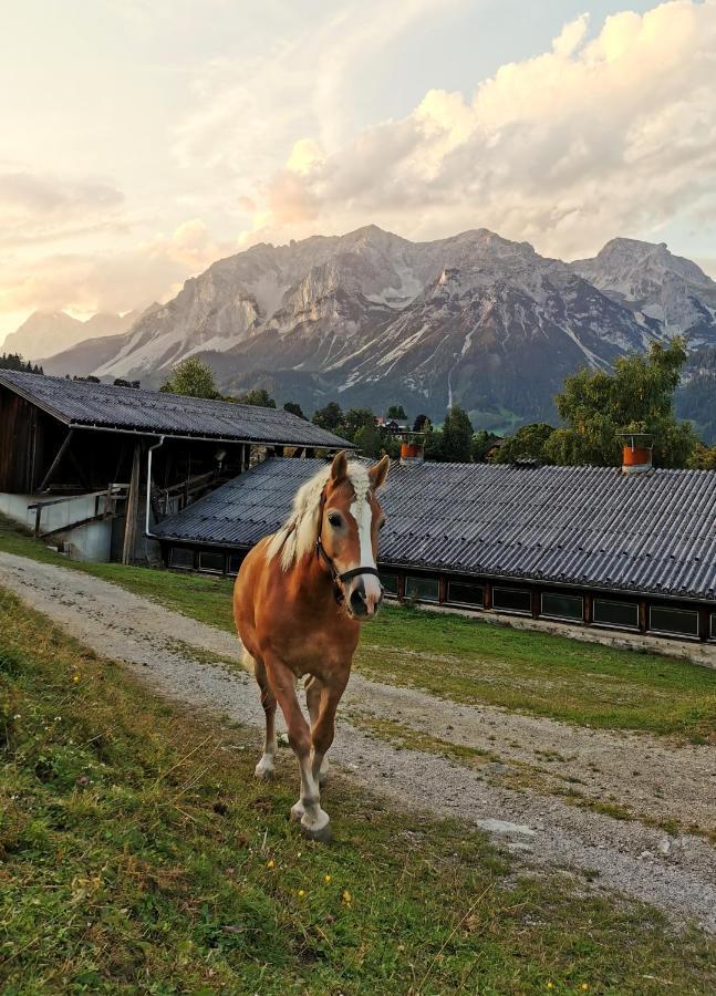 Burglehnerhof Apart otel Ramsau am Dachstein Dış mekan fotoğraf