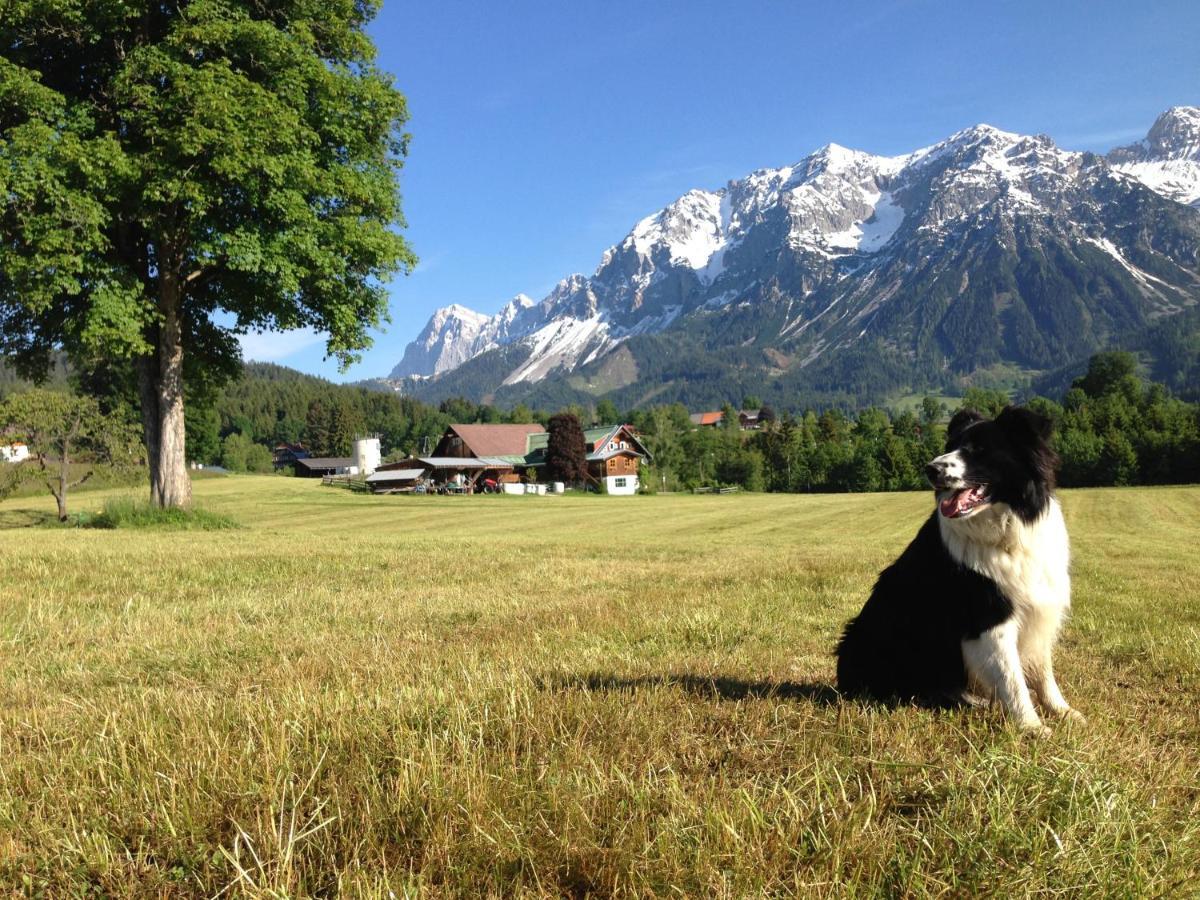 Burglehnerhof Apart otel Ramsau am Dachstein Dış mekan fotoğraf