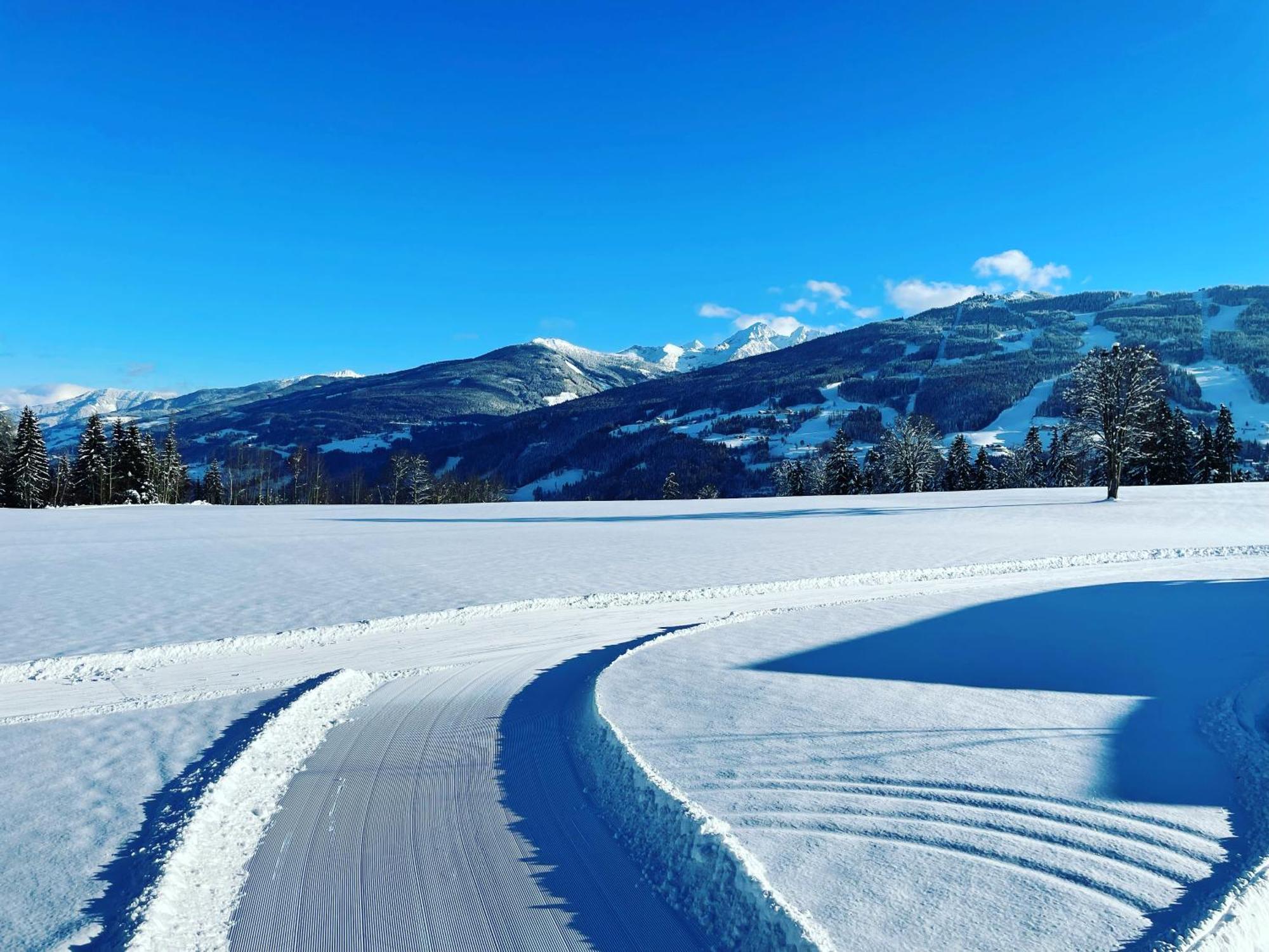 Burglehnerhof Apart otel Ramsau am Dachstein Dış mekan fotoğraf