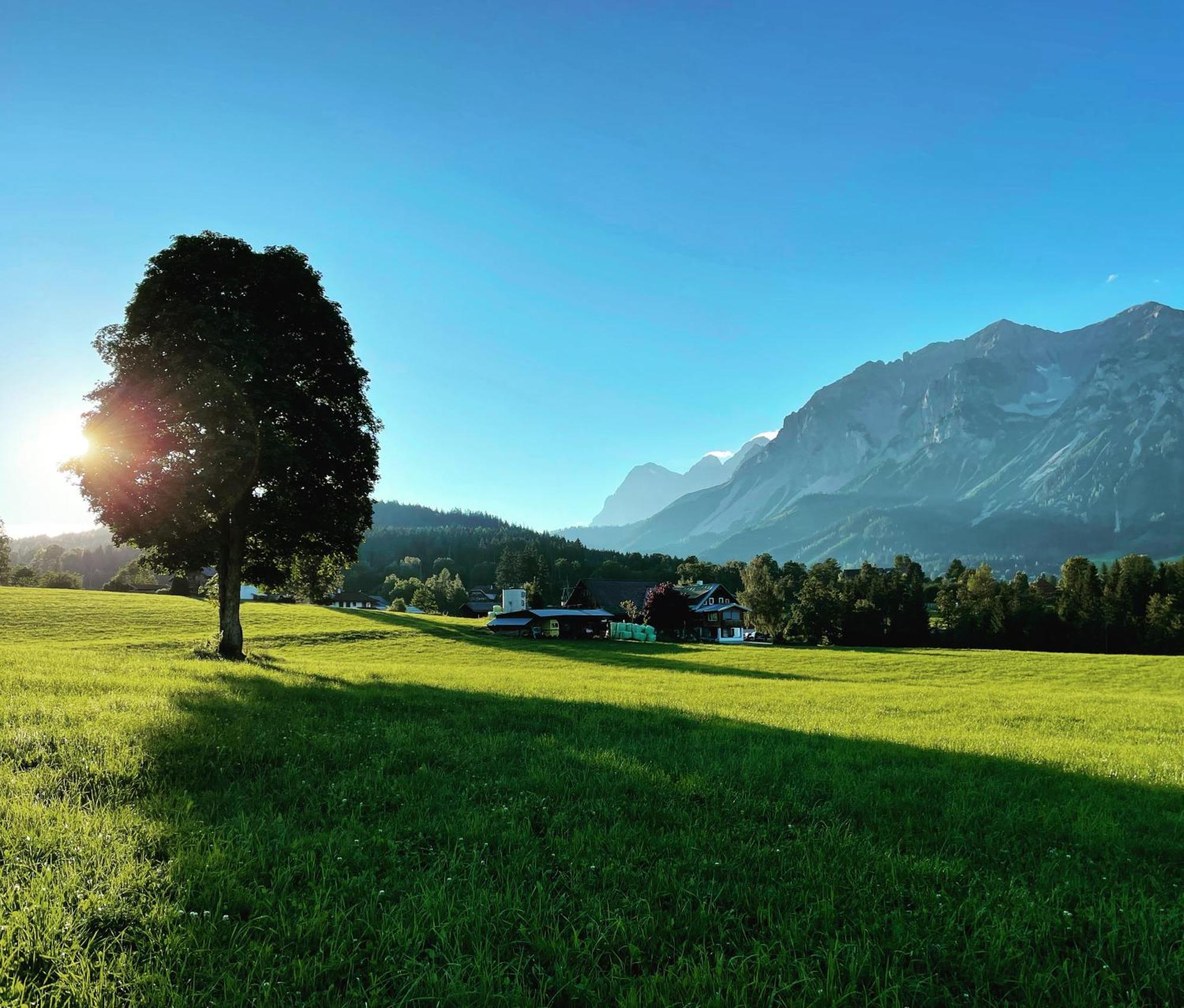 Burglehnerhof Apart otel Ramsau am Dachstein Dış mekan fotoğraf