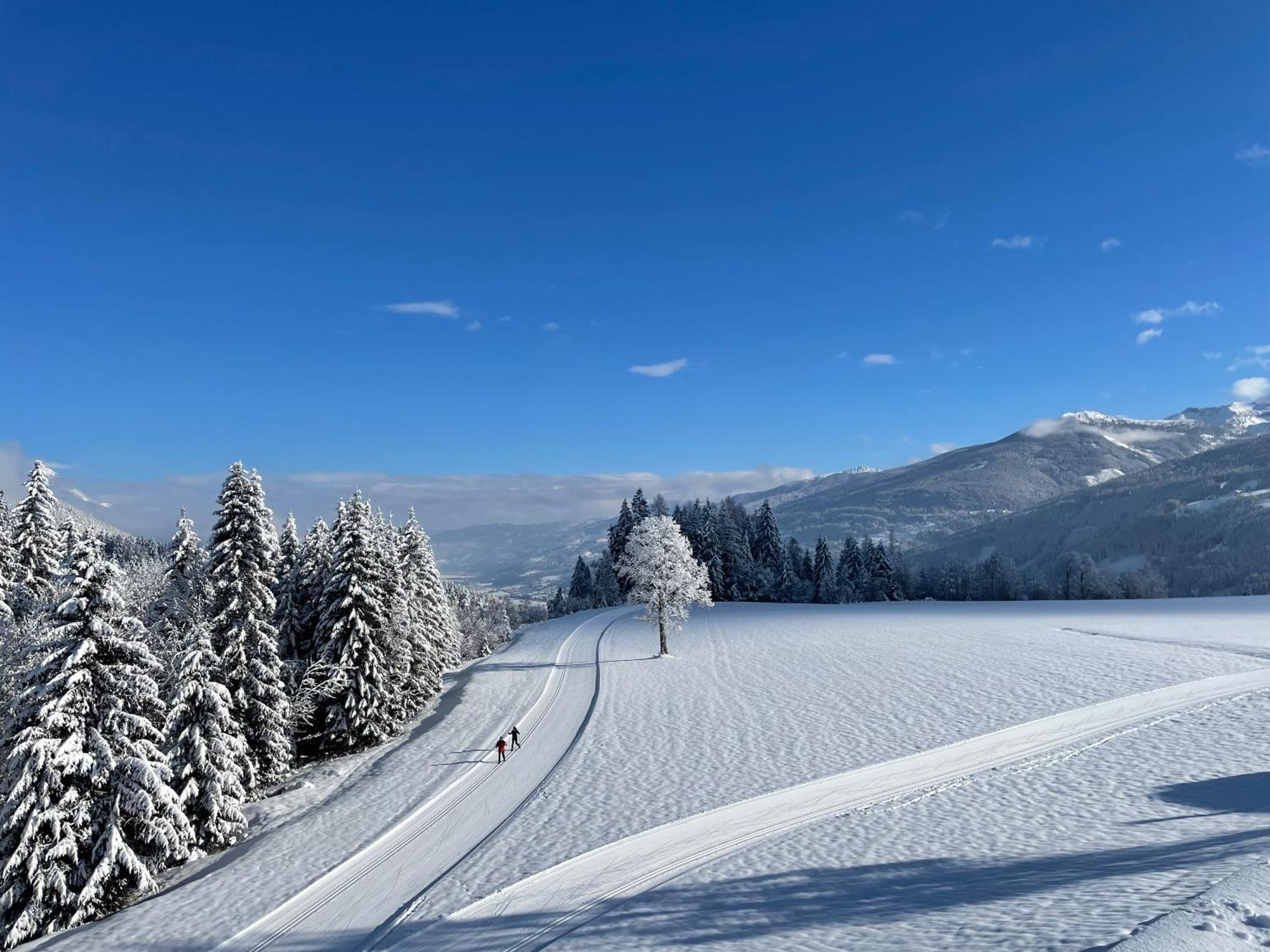 Burglehnerhof Apart otel Ramsau am Dachstein Dış mekan fotoğraf
