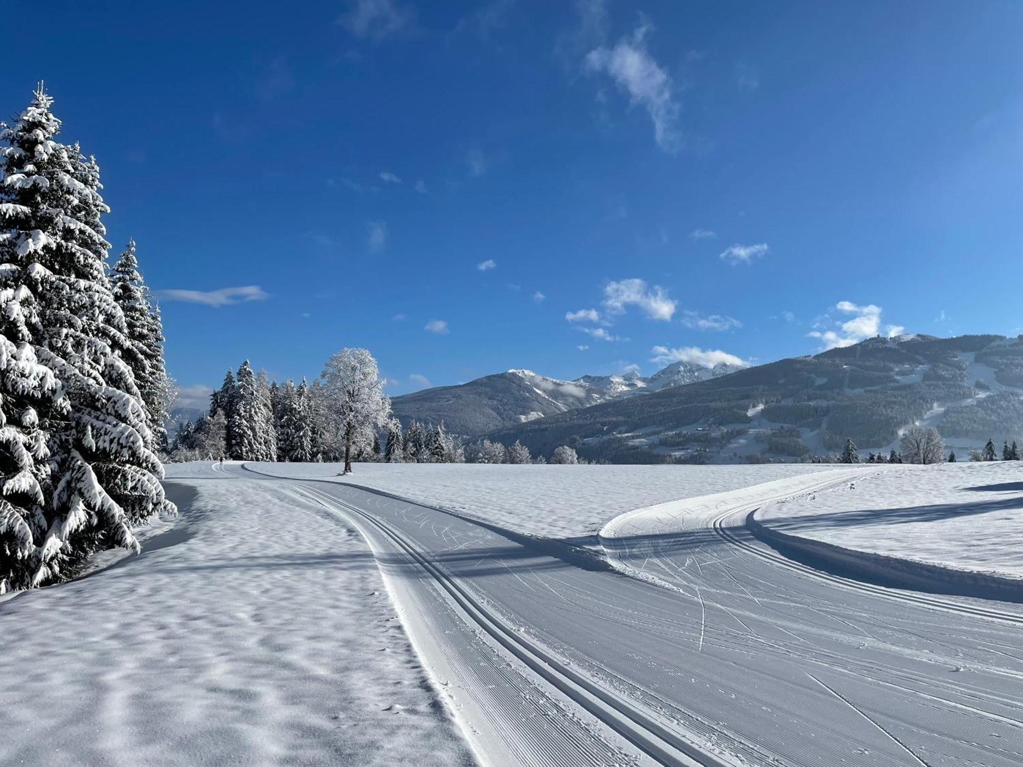 Burglehnerhof Apart otel Ramsau am Dachstein Dış mekan fotoğraf