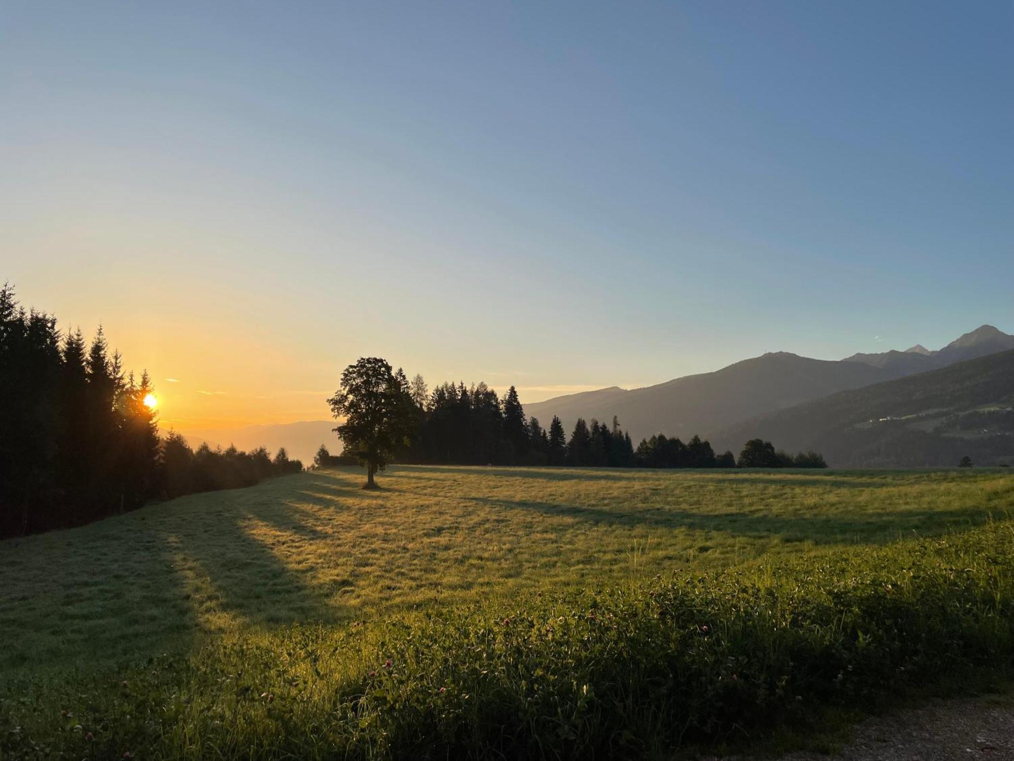 Burglehnerhof Apart otel Ramsau am Dachstein Dış mekan fotoğraf